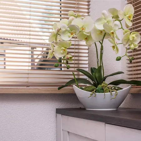 Prázdninový dům Dom Kaszubski Nr 65 *