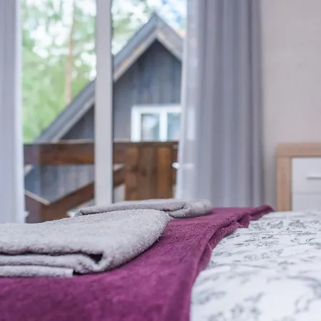 Dom Kaszubski Nr 65 別荘