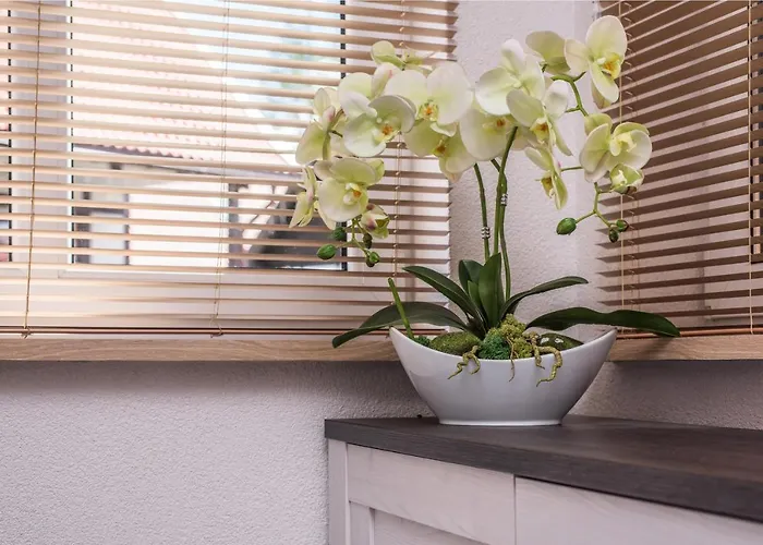 펜션 Dom Kaszubski Nr 65 *