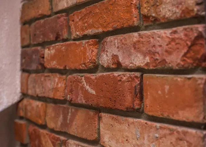 펜션 Dom Kaszubski Nr 65